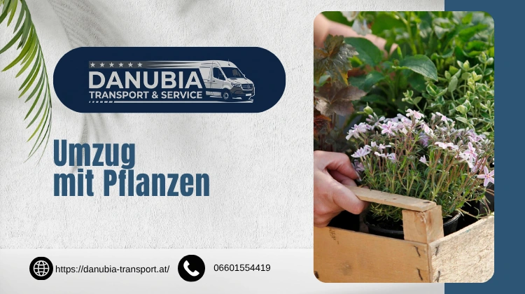 Umzug mit Pflanzen